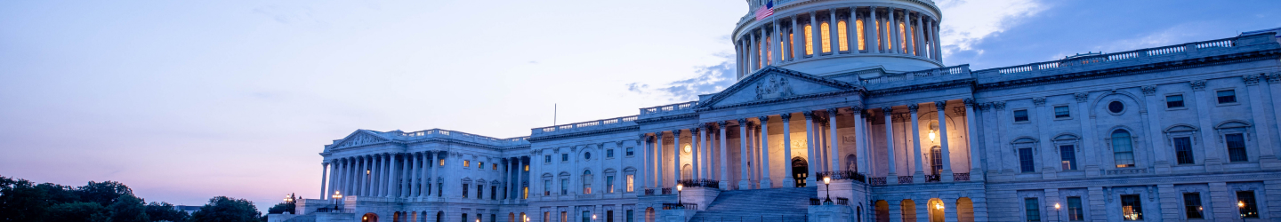 Other (Federal) Banner